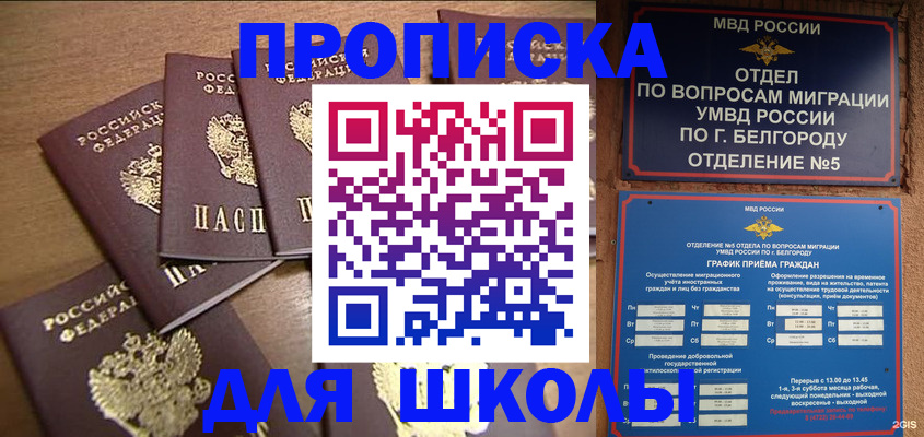 прописка гарантия в Новомосковске